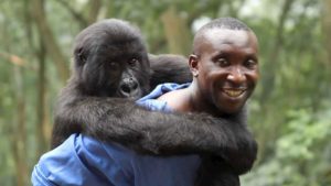 Virunga Movie Review