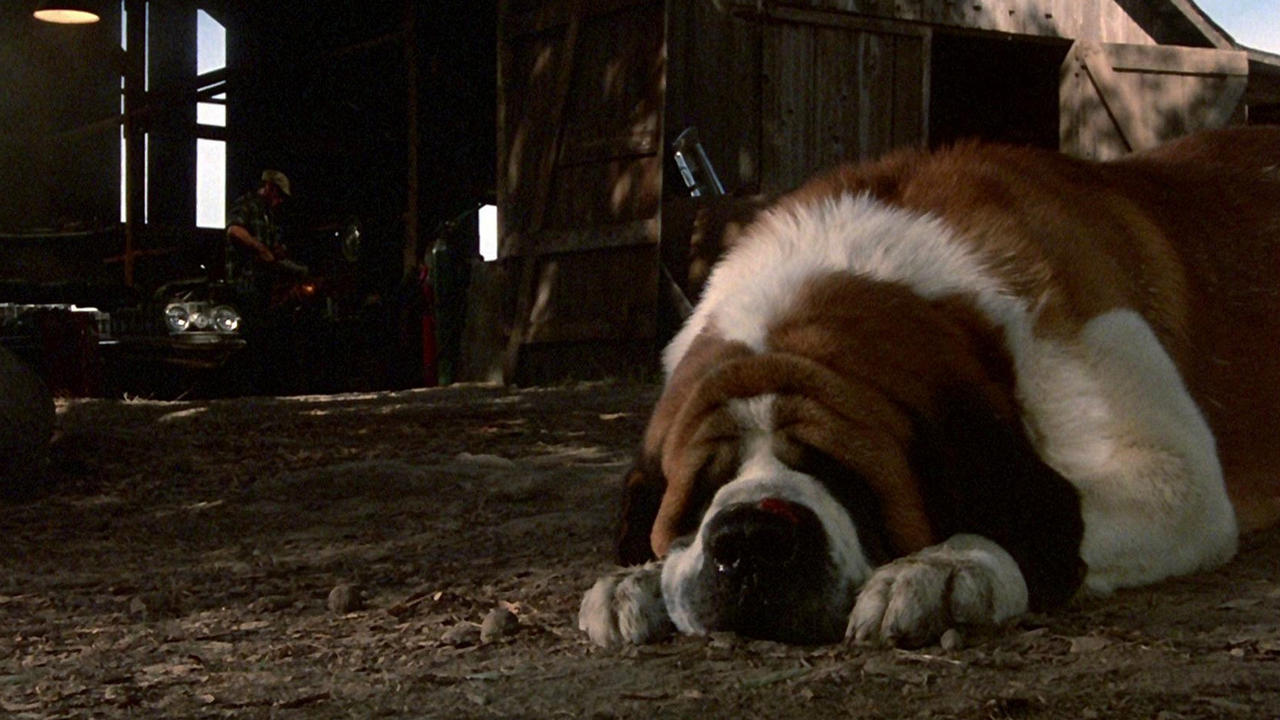 Cujo Movie Review