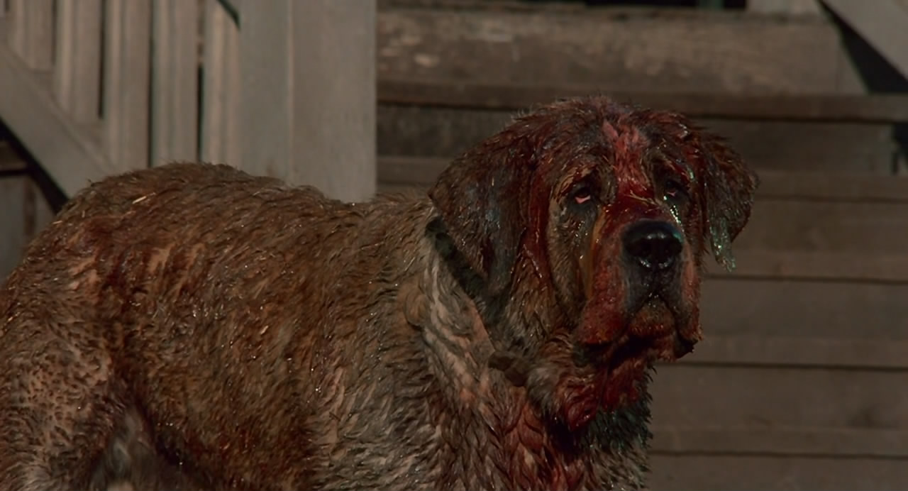 Cujo Movie Review