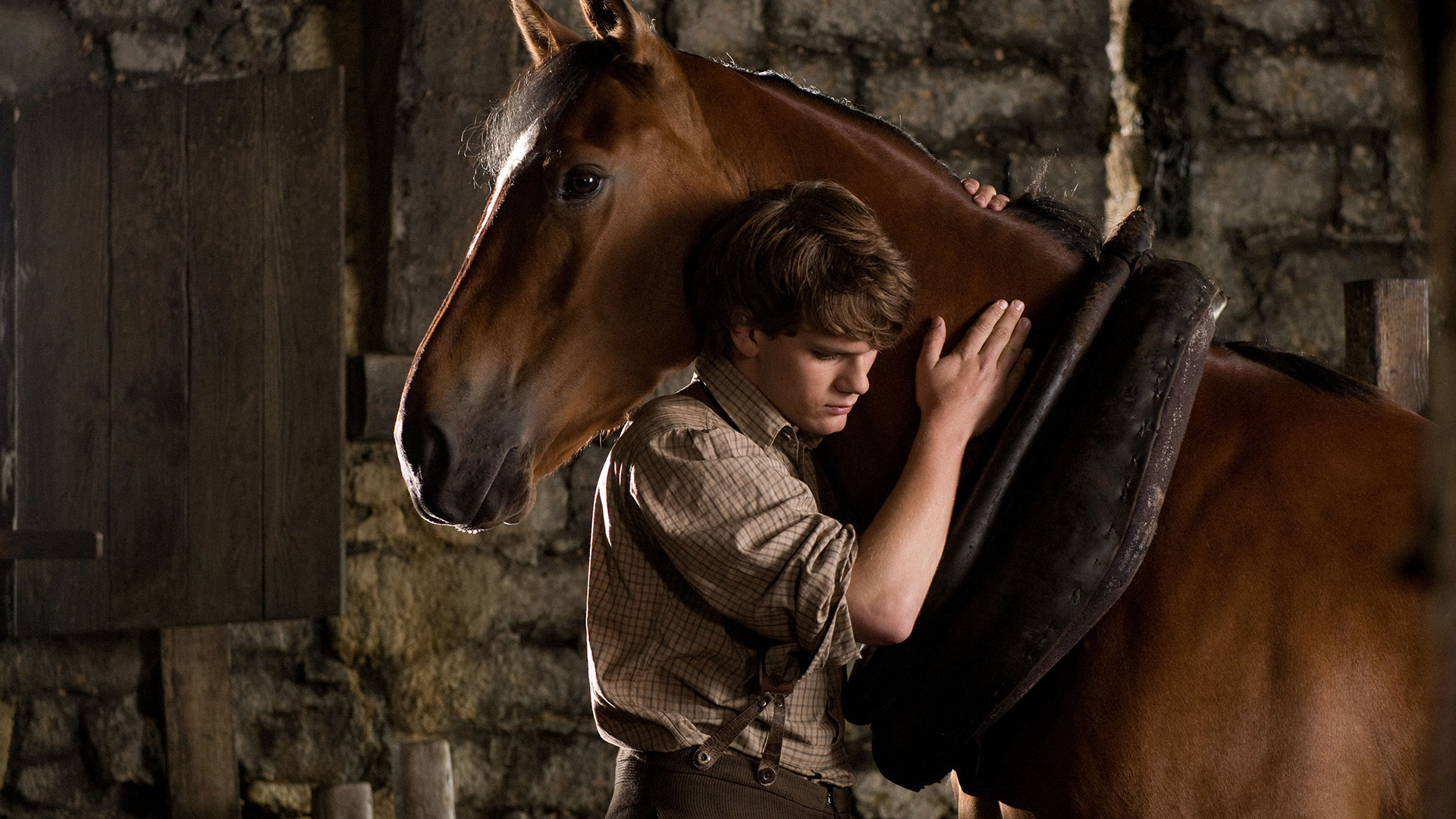 war-horse-2011-movie-reviews-simbasible