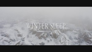 Winter Sleep