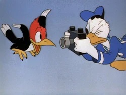Donald’s Camera Review
