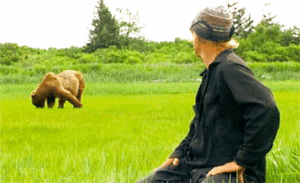 Grizzly Man Movie Review